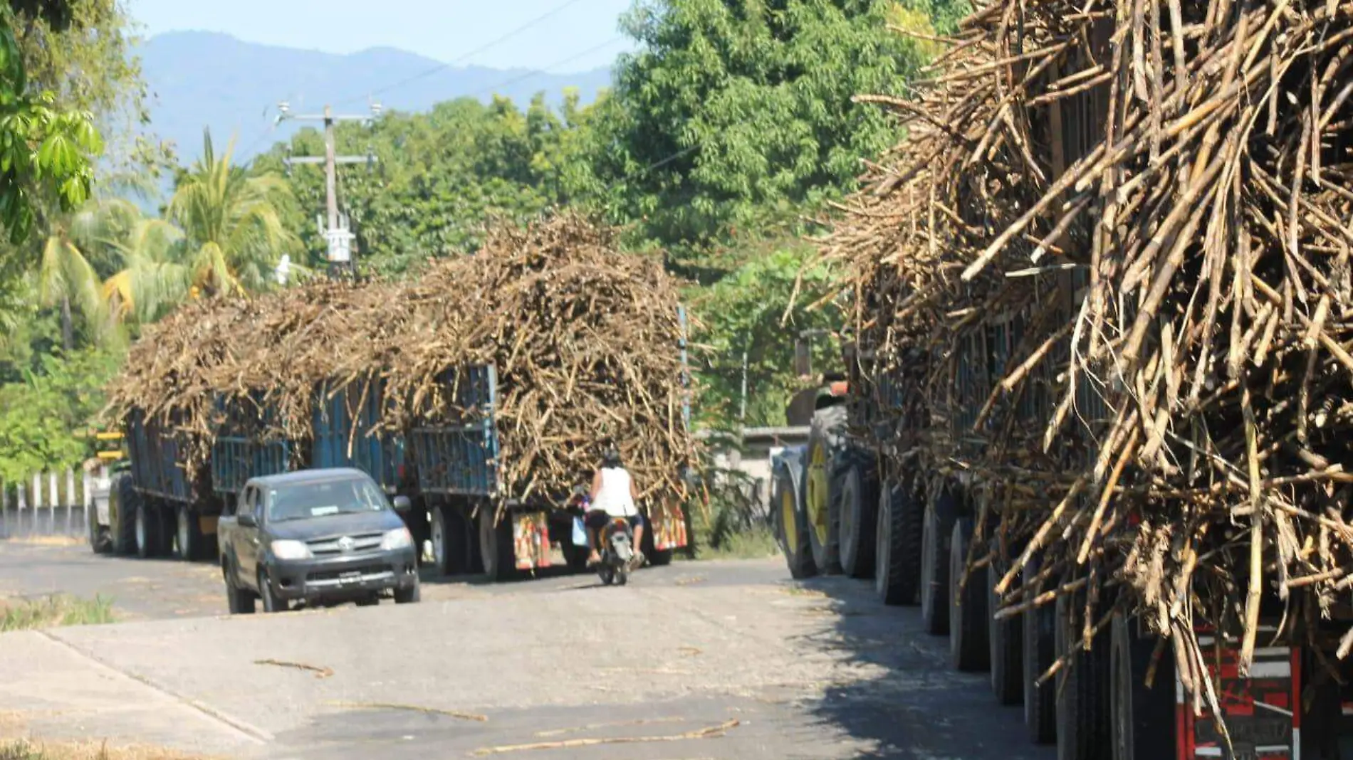 cañeros carretera peligro